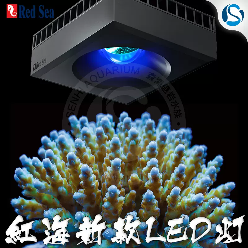 以色列紅海led海水珊瑚缸照明燈sps海缸燈遠程控制reef Led