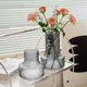Modern simple high-end vase ornaments internet celebrity glacier transparent glass water-fed flower arrangement home living room soft decoration