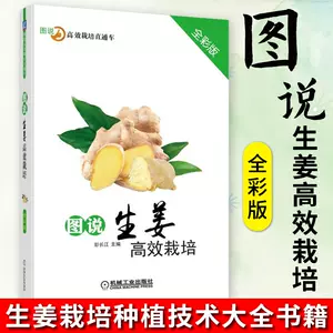 种姜技术 新人首单立减十元 22年9月 淘宝海外