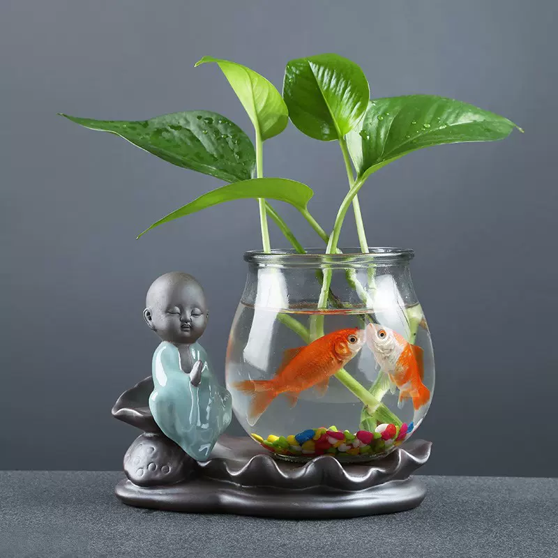 鱼花共养缸 新人首单立减十元 21年11月 淘宝海外