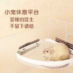 仓鼠笼二层平台铁 新人首单立减十元 22年9月 淘宝海外