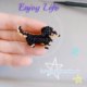 DIY beaded handmade ornaments dachshund dog handmade knitting material bag Japanese toho rice beads newbie video
