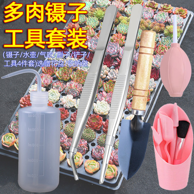 Polynes set stainless steel planting bending mouth, water pot gas blowing brush shovel barrel to shovel seedlings gardening to raise flowers
