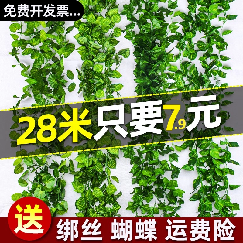 仿真葡萄叶绿萝吊顶管道装饰绿藤绿叶藤条缠绕假花绿 仿真葡萄叶绿萝吊顶管道装饰绿藤绿叶藤条缠绕假花绿