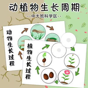 植物成长过程 新人首单立减十元 22年7月 淘宝海外 植物成长过程 新人首单立减十元 22年7月 淘宝海外