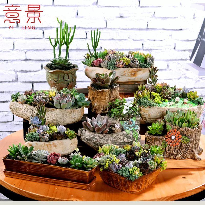 意景多肉花盆粗陶石头造型多肉植物花盆陶瓷大口径