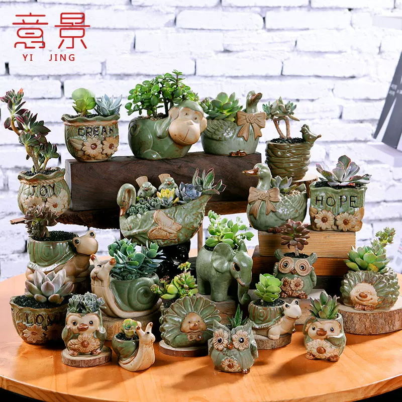 意景多肉植物花盆绿植物陶瓷花盆可爱动物造型花盆