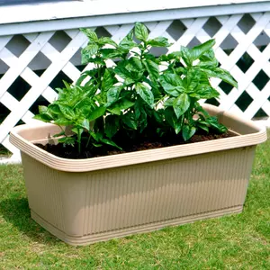 阳台种菜diy 新人首单立减十元 22年3月 淘宝海外