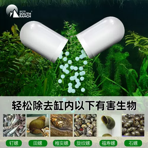 水草涡虫 新人首单立减十元 22年1月 淘宝海外