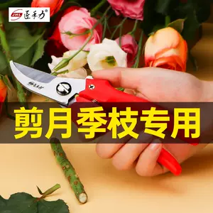 玫瑰修剪剪刀 新人首单立减十元 22年8月 淘宝海外