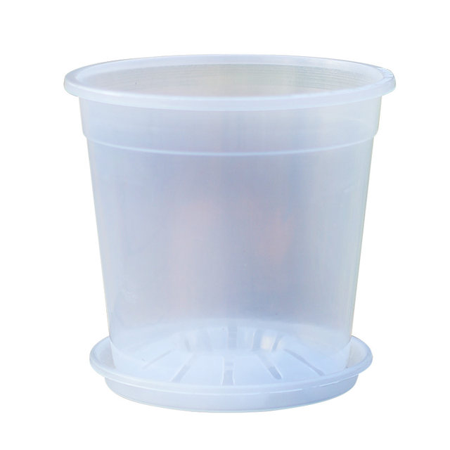 Qingshan control root basin flower pot transparent Phalaenopsis green velvet bamboo berie special thickened pots of art desktop new models