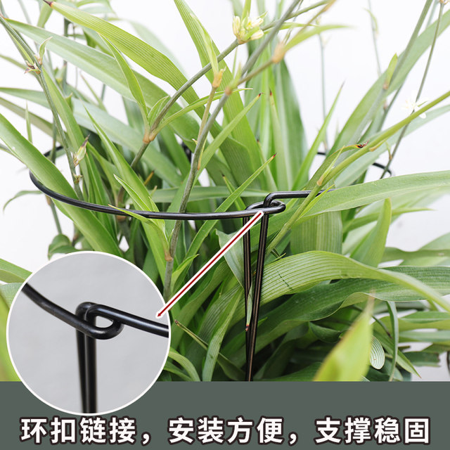 Iron gardening bracket, anti-falling support, curved monstera bird of paradise flower stand, hydrangea vegetable and fruit climbing vine support rack