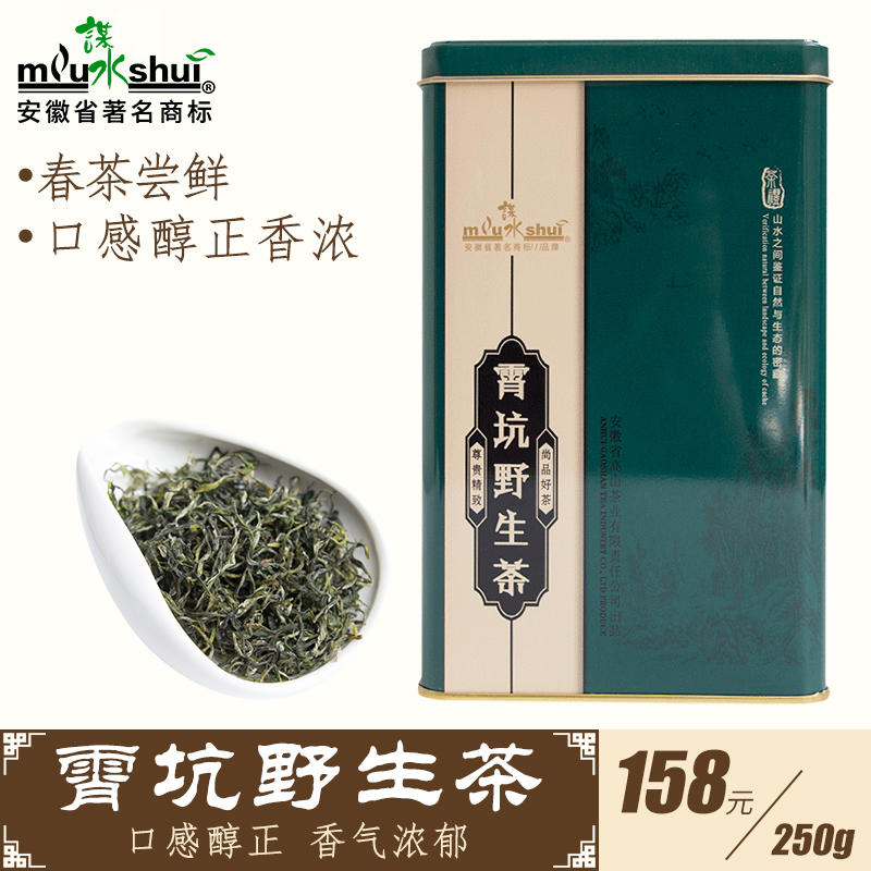 霄坑野生茶绿茶2022新茶池州肖坑毛峰高山茶叶礼盒装250g耐泡