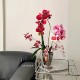 
Modern ins simple style creative ceramic vase home countertop potted container phalaenopsis anthurium flower pot