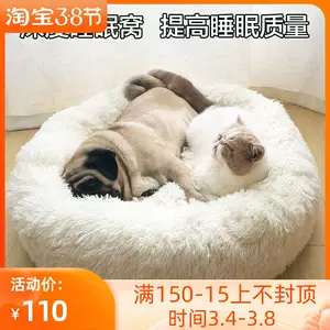 深度泰迪 新人首单立减十元 22年3月 淘宝海外