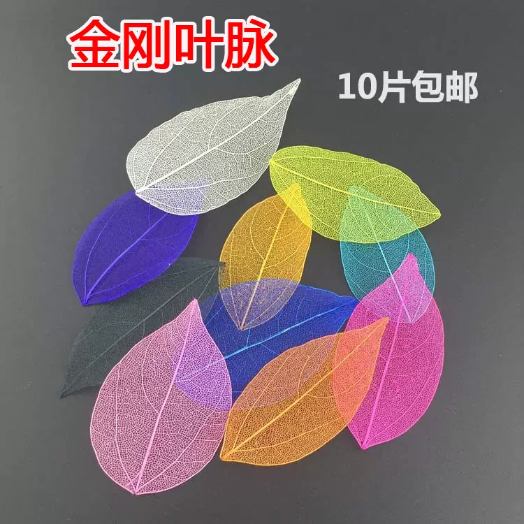 金刚叶精致叶脉学生手工自制作创意书签diy原材料干花装饰10片价
