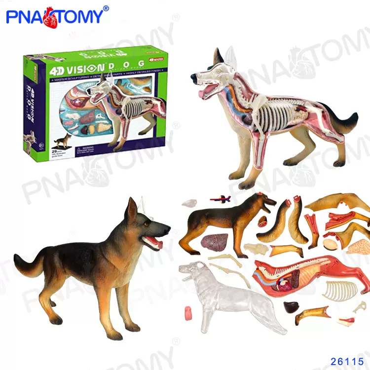 解剖狗 新人首单立减十元 21年10月 淘宝海外