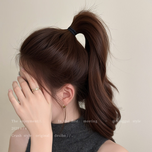 
High ponytail hair band headband for women 2025 new high-end rubber band hair high elastic and durable hair band leather set headwear