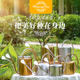 Home Succulent Pot Watering Kettle Creative Long Mouth Drying Bottle Gardening European Sprinkler Bottle Retro Stainless Steel
