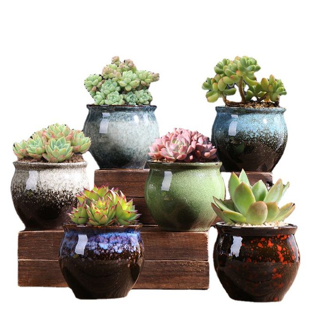 Succulent flower pot special creative meat plant flower pot gardening clearance simple retro office ceramic flower pot
