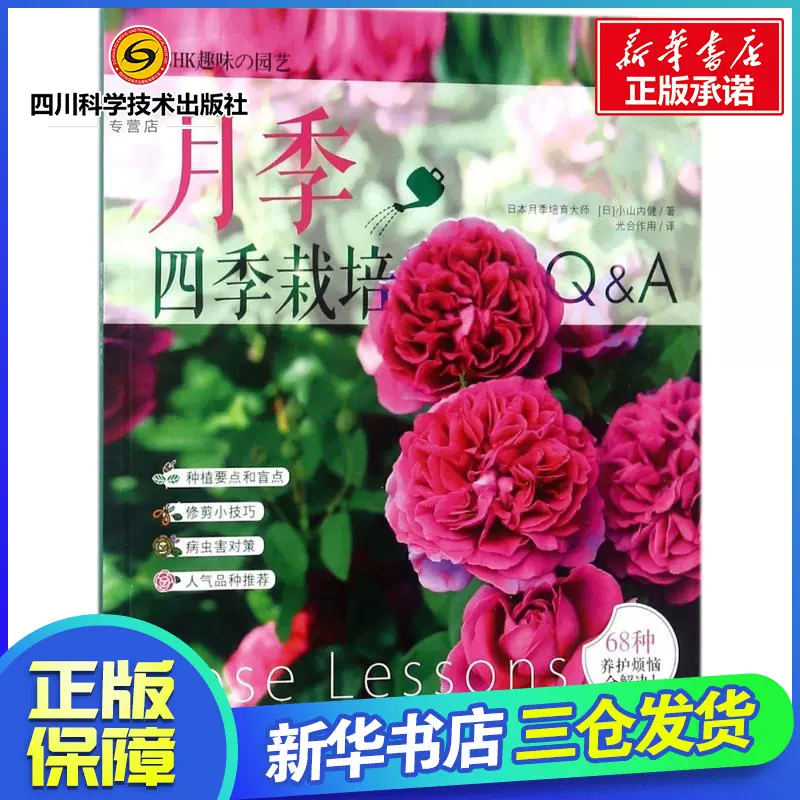 龙沙宝石月季 新人首单立减十元 21年11月 淘宝海外