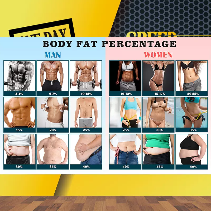 人体脂肪百分比例参考图bmi体脂率评估墙纸男女体态姿势对比