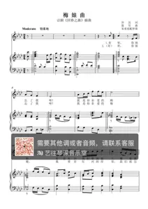 梅娘曲伴奏 Top 70件梅娘曲伴奏 22年11月更新 Taobao