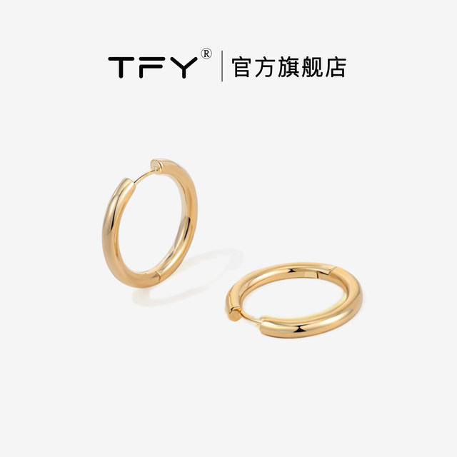 Plain ring earrings for women circle ear buckles 2025 new hot style fashion style high-end earring circle metal earrings