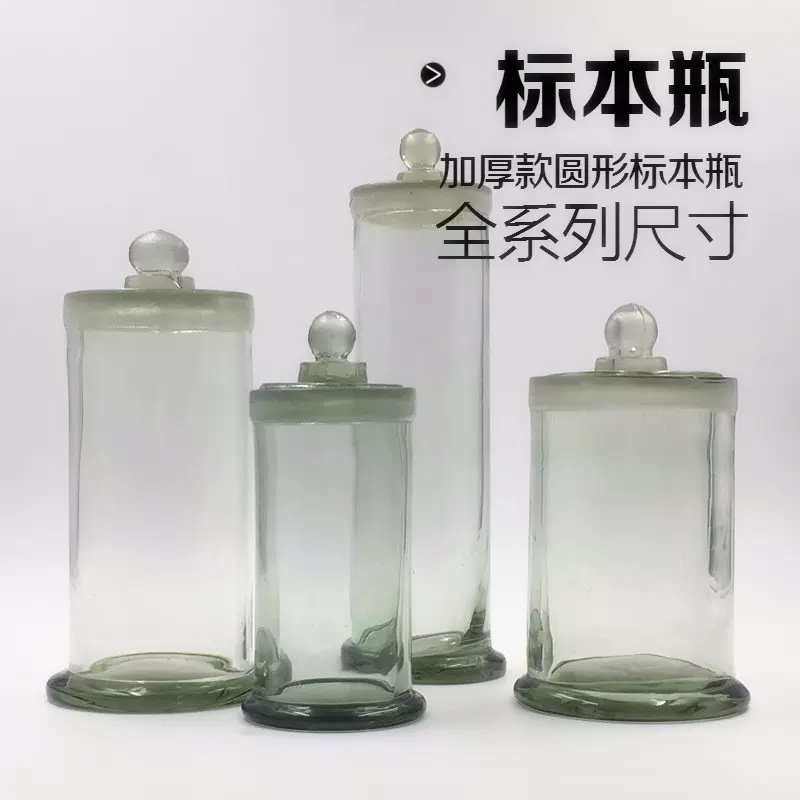 圆形标本 新人首单立减十元 21年12月 淘宝海外