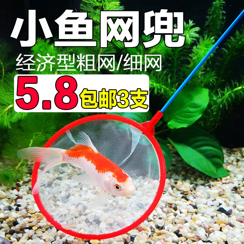 魚缸工具魚網撈魚網兜水族用品金魚網塑料圓網手抄魚