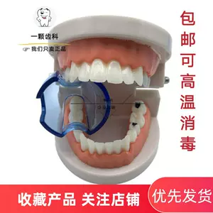 売れ筋 歯科技工用品 デンタータスDENTATUS咬合器&フェイスボー