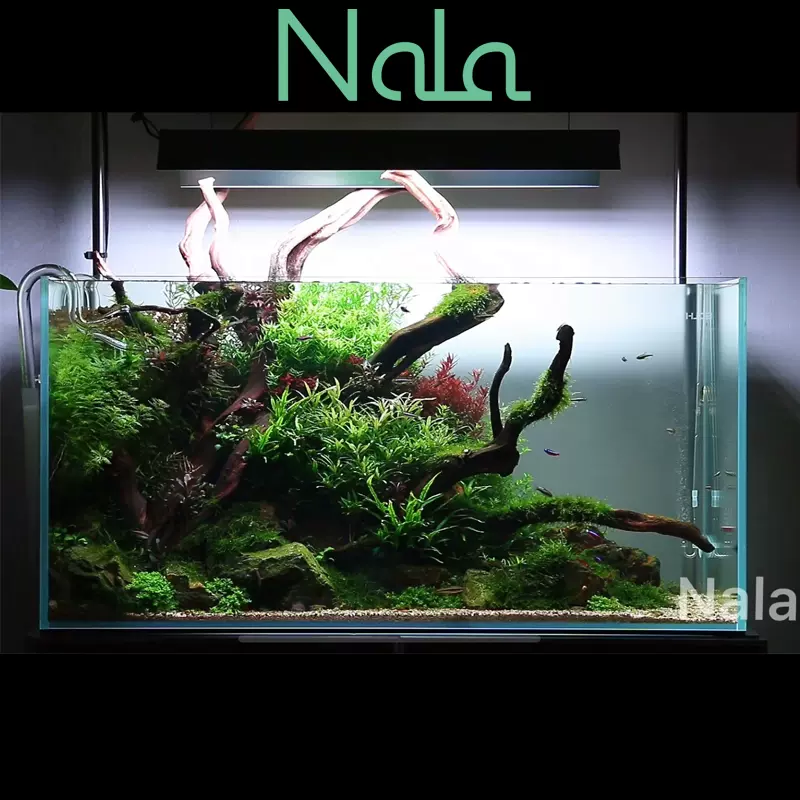 Nala娜拉水草灯led全rgb鱼缸灯草缸高亮度显色光谱