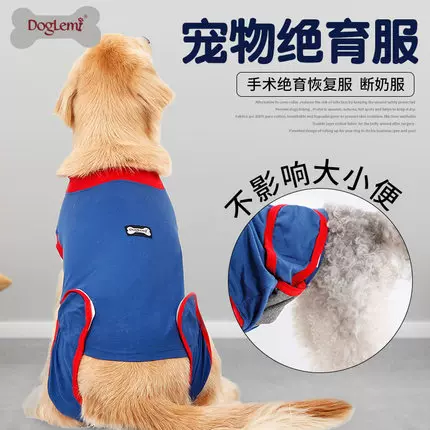 狗狗术后恢复防舔服绝育服保护伤口护肚子泰迪