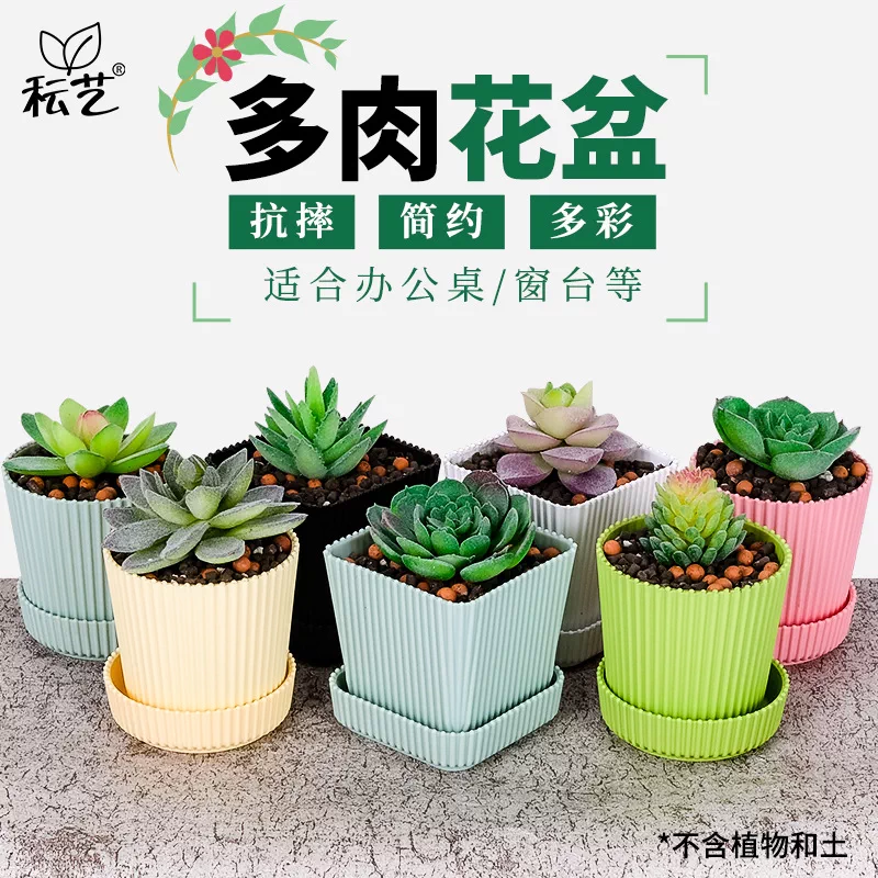 迷你塑料多肉花盆盆栽创意简约现代室内花盆树脂多肉花盆