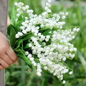 花园铃兰 Top 100件花园铃兰 22年12月更新 Taobao 花园铃兰 Top 100件花园铃兰 22年12月更新 Taobao