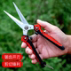 Stainless steel saves branches and cuts rare fruit, cut grapes, picking pepper fire, dragon fruit vegetable multifunctional garden scissors