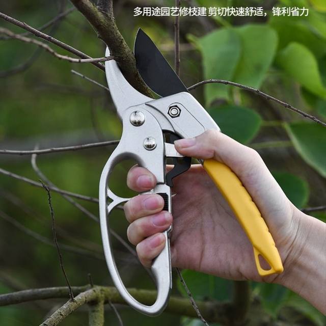 Labor-saving fruit tree pruning scissors segmented professional gardening branch pruning garden flower branch pruning thick branch scissors