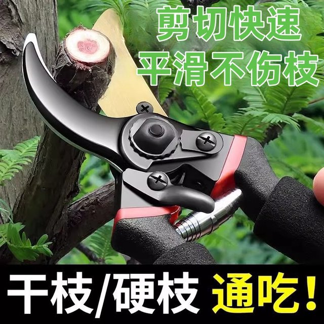 New craft steel SK5 pruning shears, labor-saving household fruit tree gardening thick branch shears, grafting floral gardening shears, tools