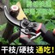 New craft steel SK5 pruning shears, labor-saving household fruit tree gardening thick branch shears, grafting floral gardening shears, tools