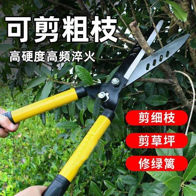 Gardening large scissors Garden flowers, flowers, trees, pruning, lawn, hedge shears, powerful pruning branches, lawn shears