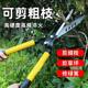 Gardening large scissors Garden flowers, flowers, trees, pruning, lawn, hedge shears, powerful pruning branches, lawn shears