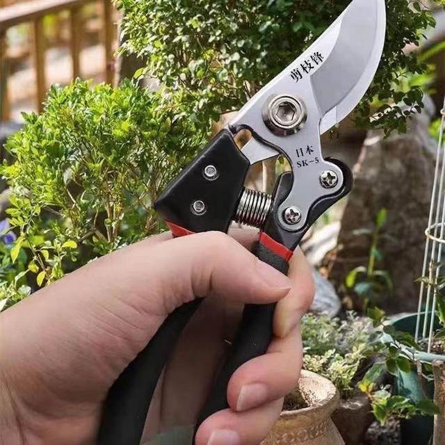 New style new steel pruning scissors tree branch shears fruit branch flower branch shears fruit tree scissors garden gardening scissors thick branch shears