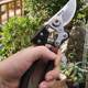New style new steel pruning scissors tree branch shears fruit branch flower branch shears fruit tree scissors garden gardening scissors thick branch shears