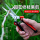 Stainless steel saves branches and cuts rare fruit, cut grapes, picking pepper fire, dragon fruit vegetable multifunctional garden scissors