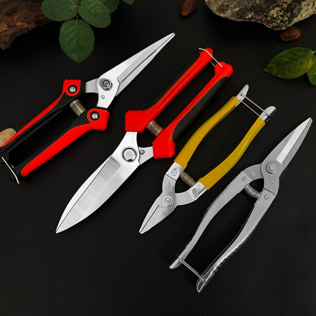 Horticultural scissors picking, scissors, round head scissors, cutting stainless steel Luo Ding new scissors scallion special
