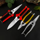 Horticultural scissors picking, scissors, round head scissors, cutting stainless steel Luo Ding new scissors scallion special
