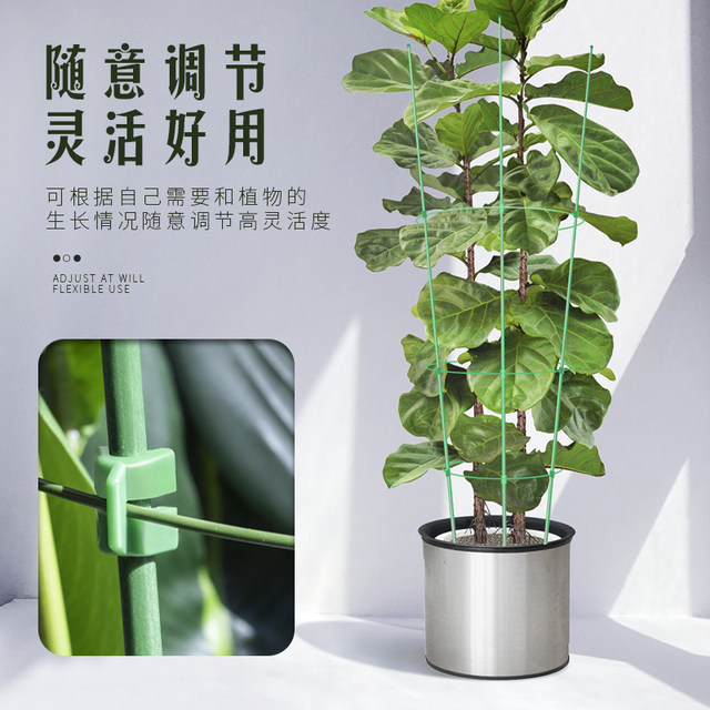 Climbing flower stand gardening pillar stand balcony pothos rose clematis vine climbing crab claw orchid support rod