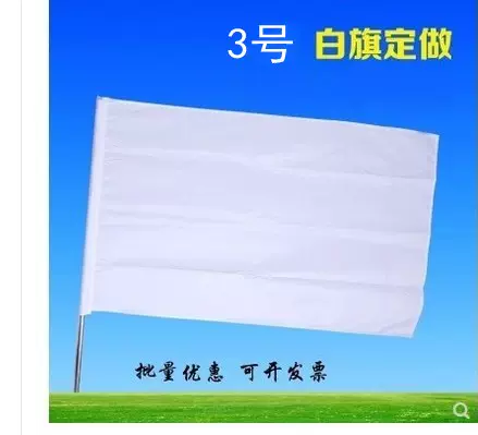 白班旗 新人首单立减十元 21年11月 淘宝海外