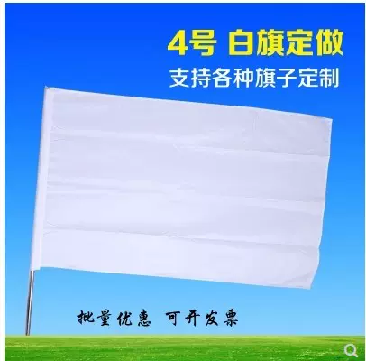 白班旗 新人首单立减十元 21年11月 淘宝海外