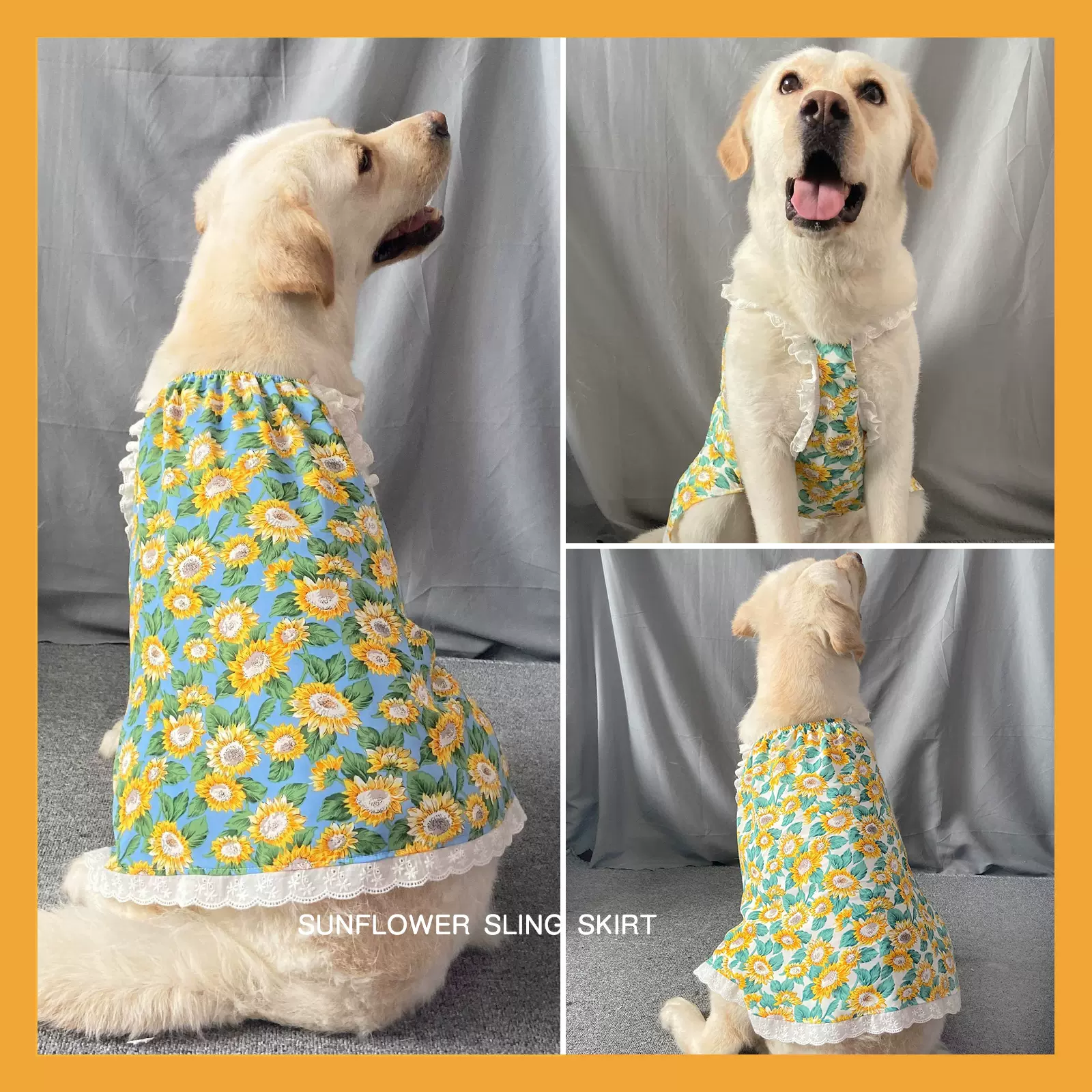 风轻轻 大狗衣服金毛夏装法斗拉布拉多幼